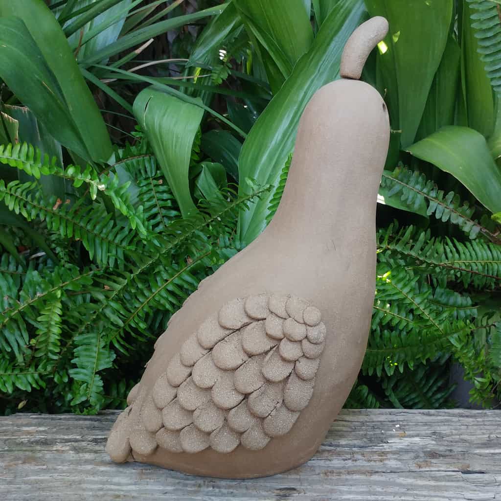 Clay California Quail Male